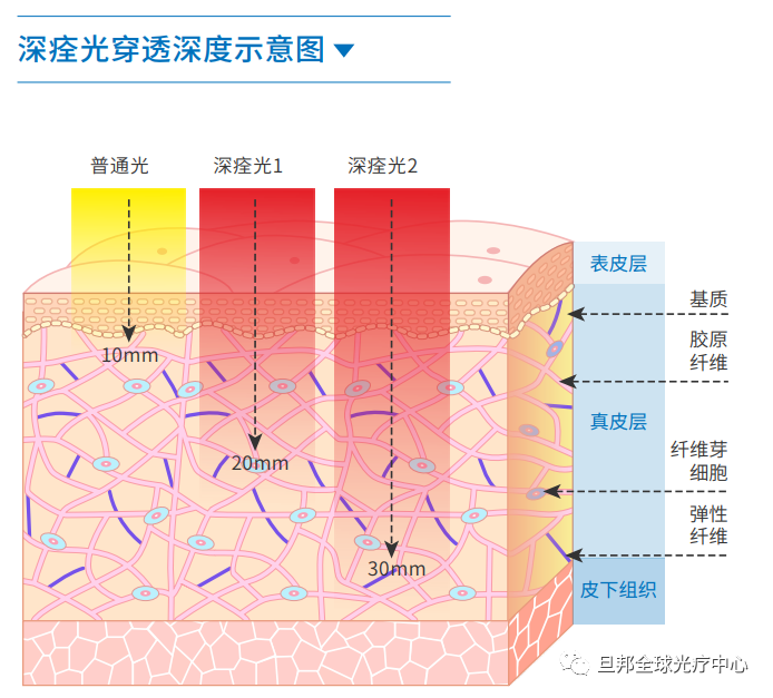 這個(gè)真相，你有過(guò)親身體驗(yàn)卻不知道！(圖6)