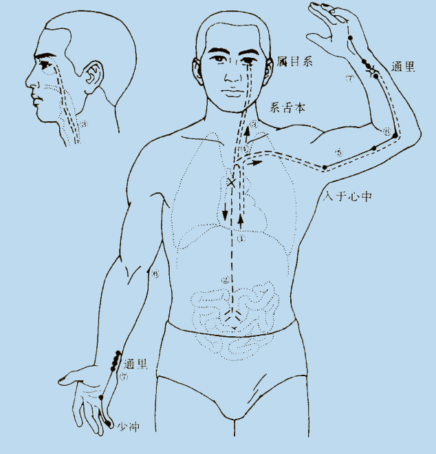 為什么說吃西藥等于動(dòng)刀子？(圖3)